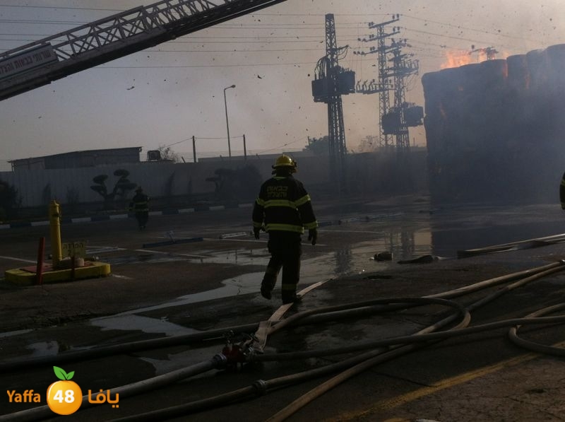 fireludkartoonmasna34 (64).JPG